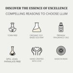 Llum Amber Vanilla Hanging Car Air Freshener |10ml, Pack of 1 |Luxury, Organic Toxin-Free Perfume |Interior Accessory for fresh Aroma |Long Lasting Fragrance, liquid - Image 3