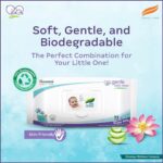 Himalaya Gentle Baby Wipes with Lid (72 wipes x4 packs -288 wipes) |100% Biodegradable Plant-based fabric | Indian Lotus & Aloe Vera | Skin Friendly PH| Extra Soft - Image 3