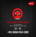 Pigeon Aster Gas Stove 2 Burner with High Powered Brass Burner, Gas Cooktop with Glass Top and Powder Coated Body, black, standard (14266) - Image 5